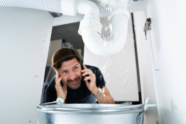 Best Local Plumber Services  in Rocky Top, TN